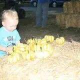 Perryville Pumpkin Farm photo