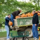 Perryville Pumpkin Farm photo