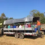 Perryville Pumpkin Farm photo