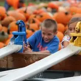 Blooms & Berries Corn Maze photo