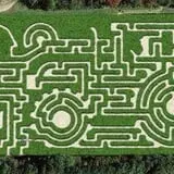Blooms & Berries Corn Maze photo