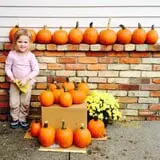 Wells Orchards photo