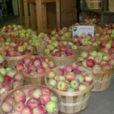 Wells Orchards photo