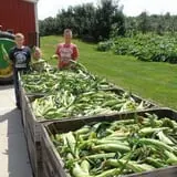 Wells Orchards photo