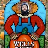 Wells Orchards photo