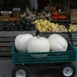 Wells Orchards photo
