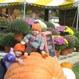 Wells Orchards photo