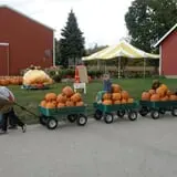 Wells Orchards photo