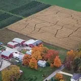 Wells Orchards photo