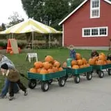 Wells Orchards photo