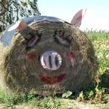 Wells Orchards photo
