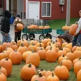 Wells Orchards photo