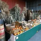 Wells Orchards photo