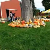 Wells Orchards photo