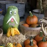 Wells Orchards photo