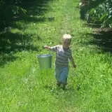 Wells Orchards photo
