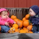 Wells Orchards photo