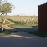 Wells Orchards photo