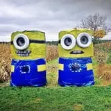 Wells Orchards photo
