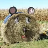 Wells Orchards photo
