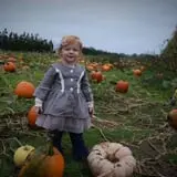Wells Orchards photo