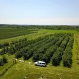 Wells Orchards photo