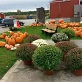 Wells Orchards photo