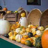 Wells Orchards photo