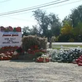 Rocky Mountain Pumpkin Ranch photo