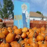 Rocky Mountain Pumpkin Ranch photo