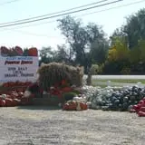 Rocky Mountain Pumpkin Ranch photo