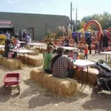 Rocky Mountain Pumpkin Ranch photo