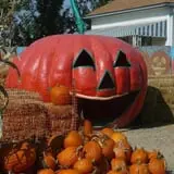 Rocky Mountain Pumpkin Ranch photo
