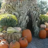 Rocky Mountain Pumpkin Ranch photo