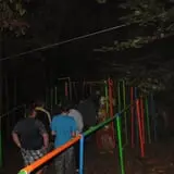 Midway Wicked Woods photo
