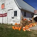 Dot Family Farms photo