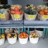 Moses Farm photo