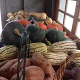 Moses Farm photo