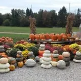 Moses Farm photo