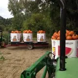 Moses Farm photo