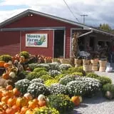 Moses Farm photo