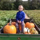 Moses Farm photo
