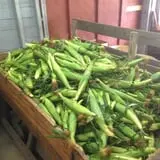 Moses Farm photo