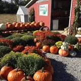 Moses Farm photo