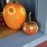 Moses Farm photo
