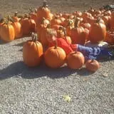 Moses Farm photo