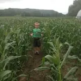 Moses Farm photo