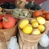 Moses Farm photo