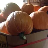 Moses Farm photo