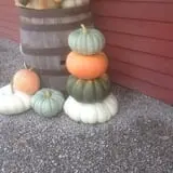 Moses Farm photo